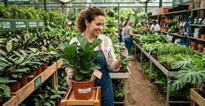 Ao comprar plantas em um viveiro, certifique-se de que o exemplar escolhido não tenha galhos soltos ou quebrados. Ele deve ter uma aparência harmoniosa