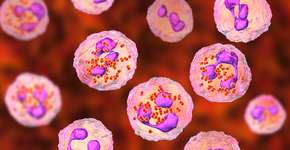 Foto: (Dr_Microbe/istock)