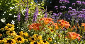 Foto: (Imagem sem texto alternativo disponivel ID [2730647])