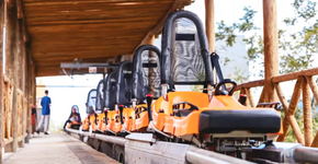 Foto: (Divulgação)