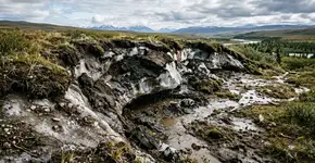 Micróbios ancestrais, congelados por 40.000 anos, ganham vida, se reorganizam e começam a devorar carbono