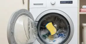 Foto: (Imagem gerada por IA/Gemini)