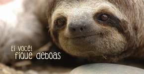 Foto: (Imagem sem texto alternativo disponivel ID [941775])