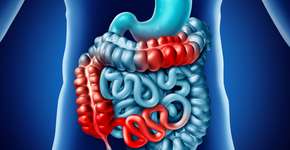 Durante sexo, homem é contaminado por amebíase