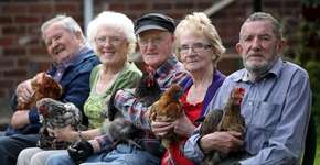 Idosos fazem terapia com galinhas