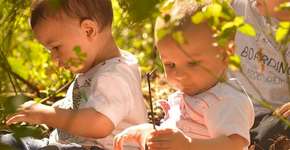 Foto: (Imagem sem texto alternativo disponivel ID [1608910])