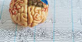 Foto: (srikijt/DepositPhotos)