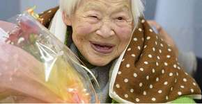 Foto: (Imagem sem texto alternativo disponivel ID [1230979])