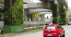 Colunas de viadutos transformadas em jardins