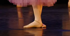 Foto: (Imagem sem texto alternativo disponivel ID [2238707])