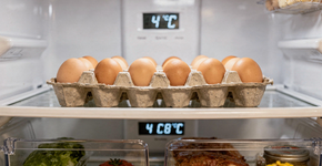 Foto: (Imagem sem texto alternativo disponivel ID [2731374])