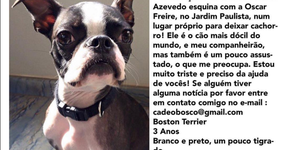 Foto: (Imagem sem texto alternativo disponivel ID [1869914])