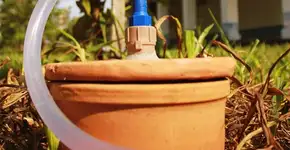 Foto: (Imagem sem texto alternativo disponivel ID [1837456])