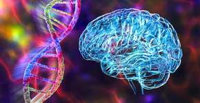 Foto: (iStock/Dr_Microbe)