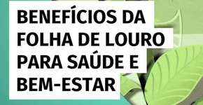 Benefícios da folha de louro para saúde e bem-estar
