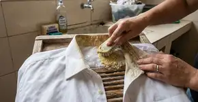 O truque infalível de deixar roupas brancas parecendo novas