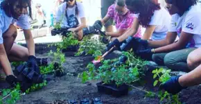 Pesquisador cria hortas urbanas com plantas da Amazônia