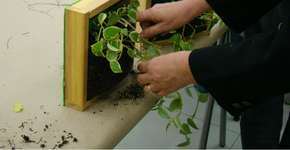 Aprenda a fazer quadros verdes vivos no Sesc Vila Mariana