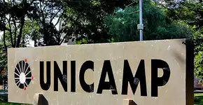 Cursos gratuitos da Unicamp para começar agora mesmo na sua casa