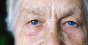 Foto: (Anna Shvets/Pexels)