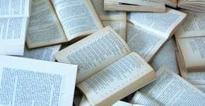 Foto: (Imagem sem texto alternativo disponivel ID [446882])