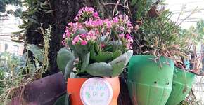 Natal na Vila Madalena terá arranjos de garrafa PET como decoração