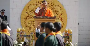 Rei pede de aniversário que súditos plantem árvores ou adotem animais