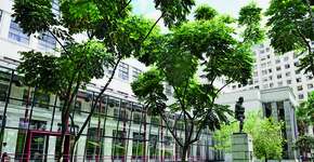 Biblioteca Mário de Andrade recebe feira com foco em ilustração