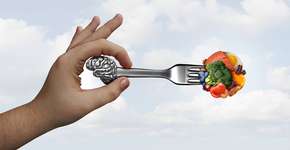 O melhor nutriente para ter o cérebro saudável, segundo Harvard