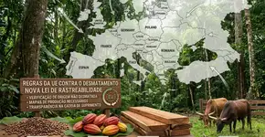 A UE aplica sua lei contra o desmatamento em meio a um recuo das políticas verdes e sob críticas ambientais