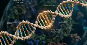 Carregamos DNA Neandertal… exceto onde mais importa