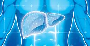 Foto: (iStock/liangpv)