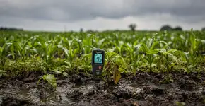 Foto: (Imagem sem texto alternativo disponivel ID [2737001])