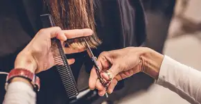 Foto: (iStock | eclipse_images)