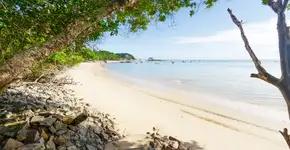 Foto: (odrigobark/iStock)