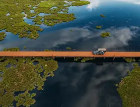 Viagem: Vai visitar o Pantanal? Saiba quais são as melhores épocas para ir