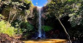 Foto: (Divulgação)