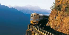 Foto: (Divulgação)