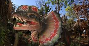 Olímpia: Vale dos Dinossauros tem ingressos com até 75% OFF