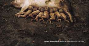 Foto: (Imagem sem texto alternativo disponivel ID [1869934])