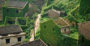 Foto: (Imagem sem texto alternativo disponivel ID [1868292])