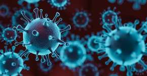 Foto: (JONGHO SHIN/istock)