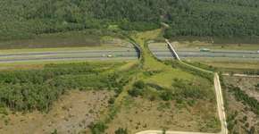 Foto: (Imagem sem texto alternativo disponivel ID [1869522])