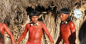 Foto: (Divulgação/Ambiental Turismo)