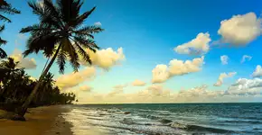 Foto: (Foto: Divulgação Setur AL/ Wesley Menegari)