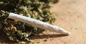 Consumo de maconha junto com álcool eleva níveis de THC no sangue