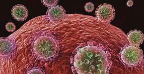 Em teste, vacina resulta em proteção total contra HIV