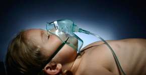 Foto: (Imagem sem texto alternativo disponivel ID [761334])