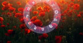 Foto: (Imagem sem texto alternativo disponivel ID [2718730])