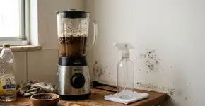 Liquidifique cravo-da-índia com vinagre branco: uma mistura poderosa com ótima função para eliminar mofo de paredes e repelir insetos